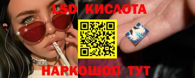 крисы Кимры