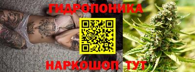 крисы Кимры