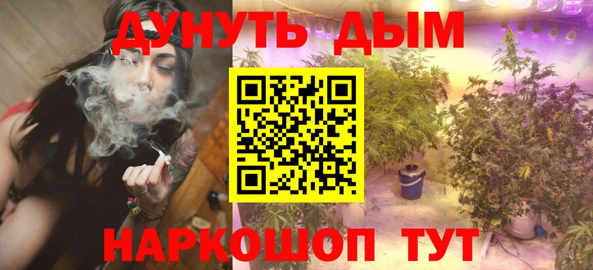 Кинель  Конопля план  Марихуана White Widow  Вход с VPN 